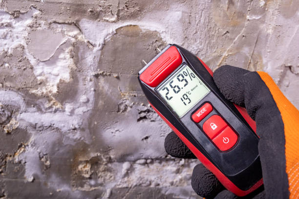 Best DIY Mold Remediation Support Services in Richlands, VA