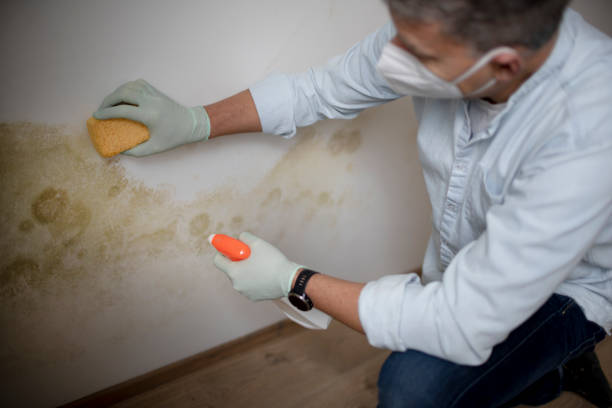Richlands, VA Mold Remediation Company